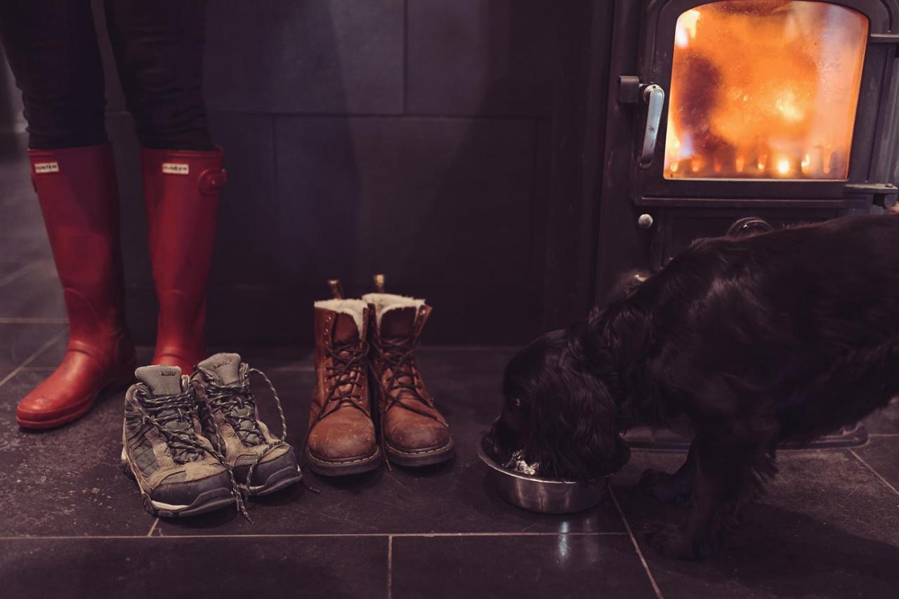 Longlands Inn & Cottages Carnforth Extérieur photo A dog in front of a wood burning stove